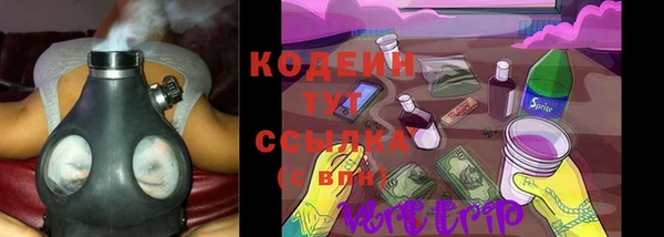 гашик Майский
