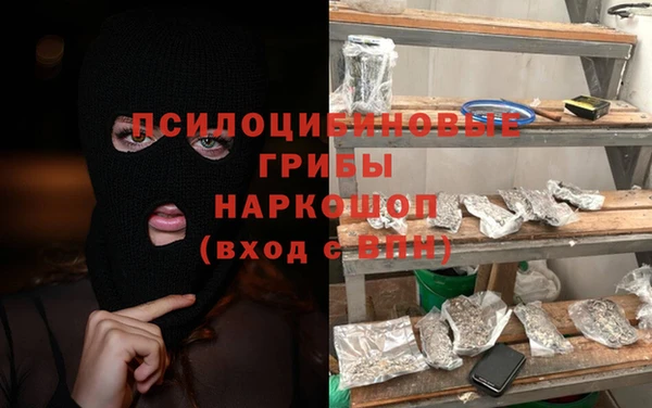гашик Майский