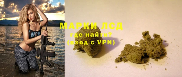 гашик Майский